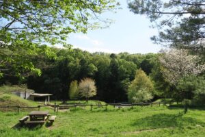 野山北・六道山公園