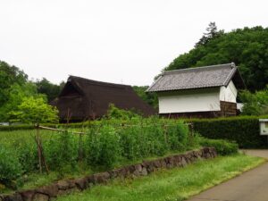 野山北・六道山公園