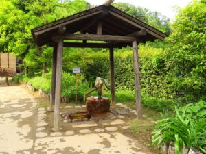 野山北・六道山公園