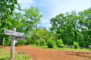 東大和公園