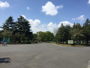 篠崎公園