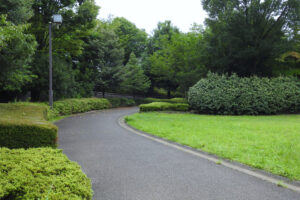 小山白山公園（多摩ニュータウンNo.245遺跡）