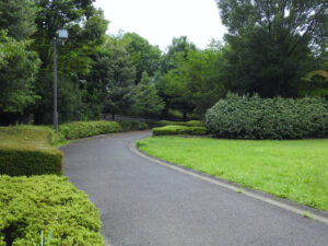 小山白山公園（多摩ニュータウンNo.245遺跡）