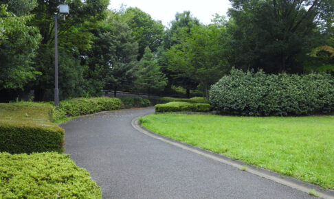 小山白山公園（多摩ニュータウンNo.245遺跡）