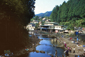 秋川国際マス釣場