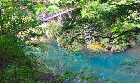 氷川渓谷遊歩道（ふれあい森林浴コース）