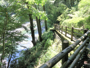 氷川渓谷遊歩道（ふれあい森林浴コース）