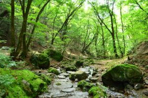 御岳山ハイキングコース