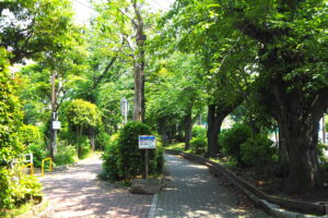 南砂緑道公園（都電砂町線廃線跡）