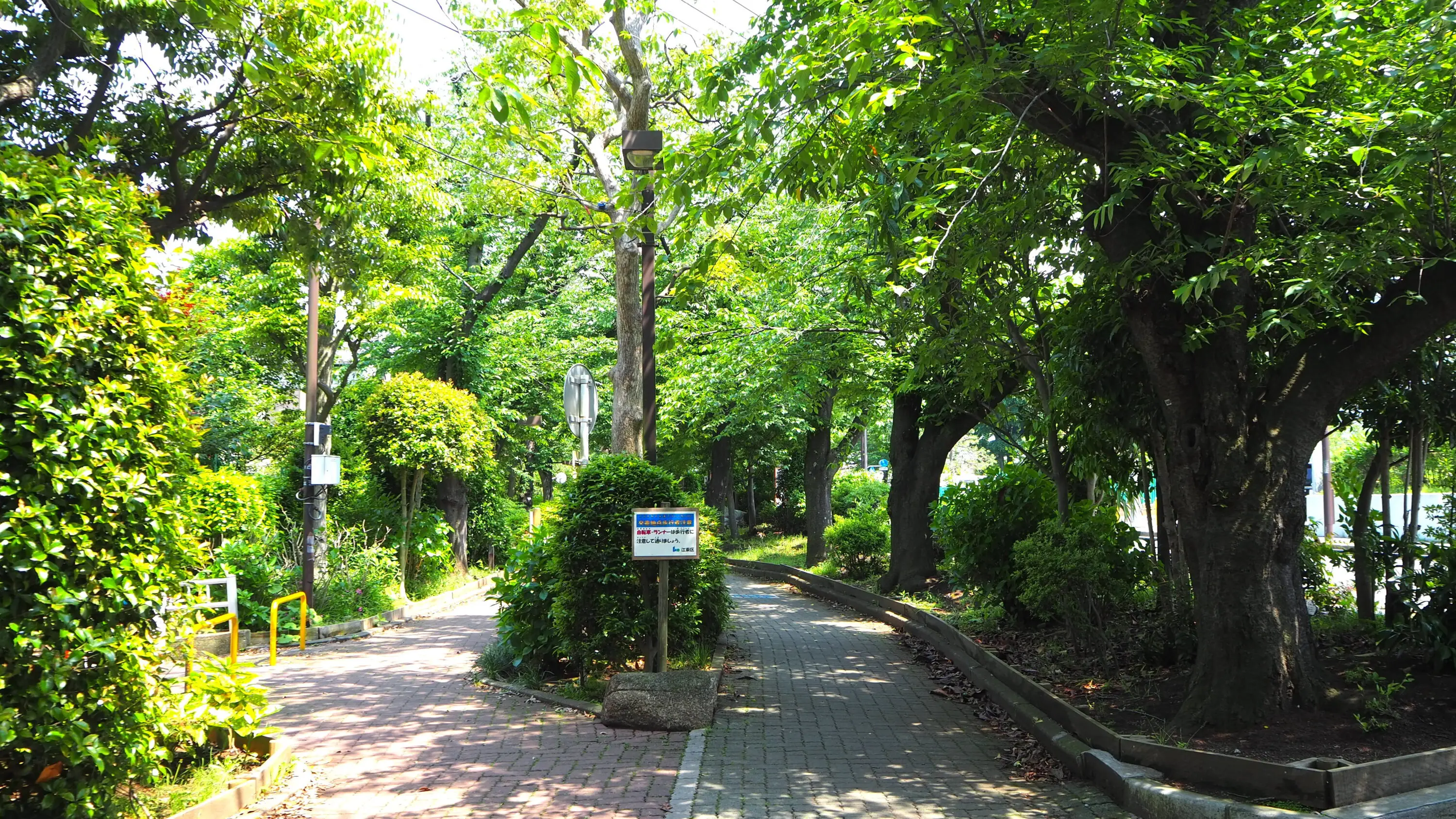 マイク様専用】系統板 都電 38系統 29系統 南砂緑道公園（都電砂