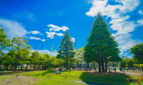 玉川野毛町公園