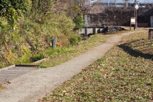 ママ下湧水公園