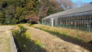 ママ下湧水公園