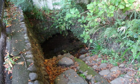 谷保天満宮・常盤の清水