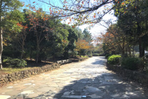 新長島川親水公園