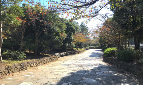 新長島川親水公園