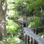 小松川境川親水公園