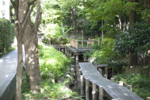 小松川境川親水公園