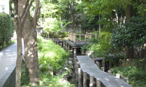 小松川境川親水公園