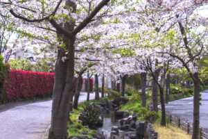 一之江境川親水公園