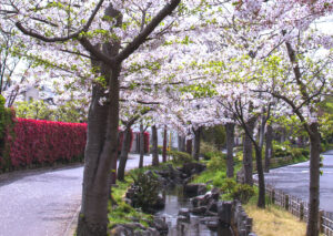 一之江境川親水公園