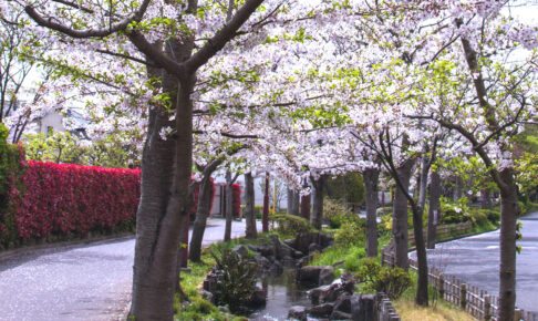 一之江境川親水公園