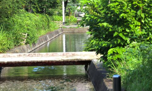 古石場川親水公園