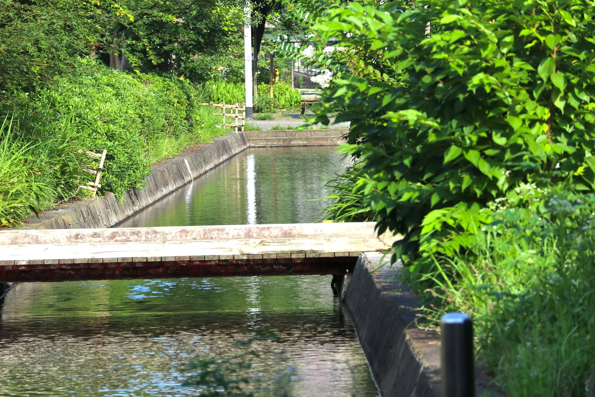湖畔 朝倉ダム湖畔緑水公園｜スポット・体験｜四国のおすすめ観光