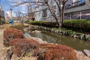 福富川公園