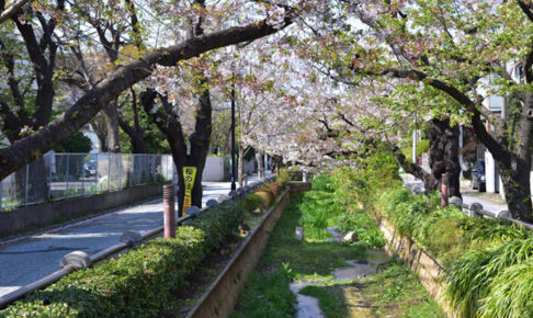 呑川親水公園