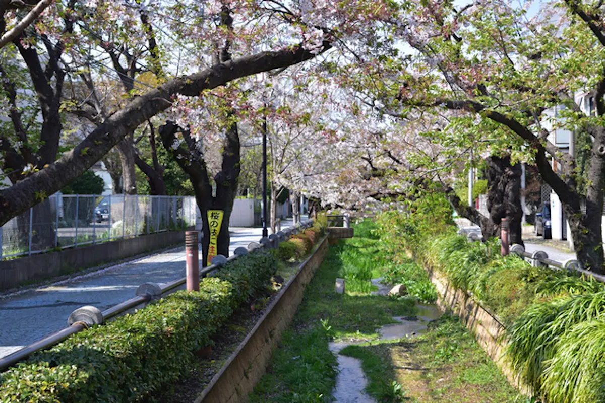 呑川親水公園 | 東京とりっぷ