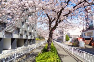 呑川緑道（世田谷区）