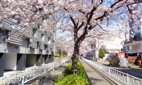 呑川緑道（世田谷区）