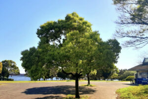 東海ふ頭公園