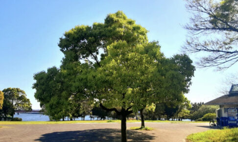 東海ふ頭公園