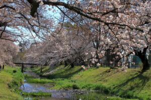 根川緑道