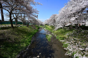 根川緑道