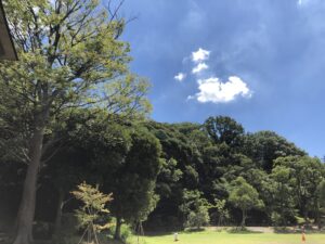 田園調布せせらぎ公園