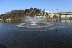 しながわ区民公園