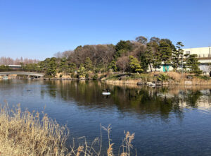 しながわ区民公園