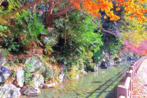 龍津寺の湧水