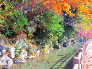 龍津寺の湧水