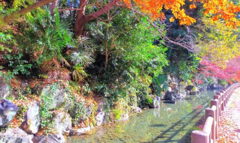 龍津寺の湧水