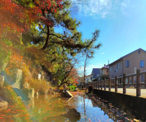 龍津寺の湧水