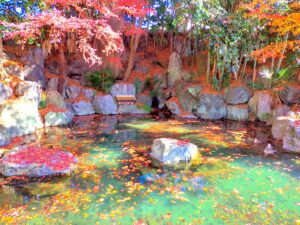 龍津寺の湧水