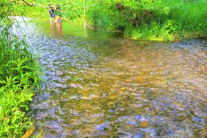 落合川いこいの水辺