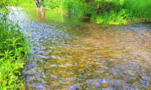 落合川いこいの水辺