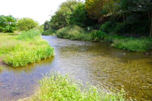 落合川いこいの水辺