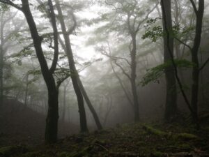 雲取山