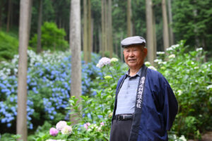 南沢あじさい山